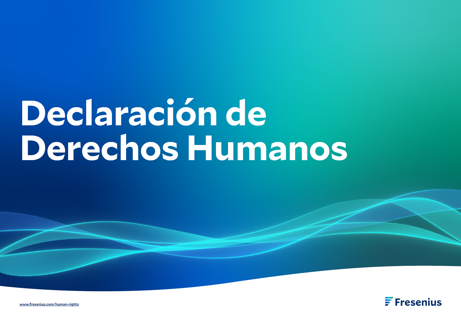 Declaración de Derechos Humanos