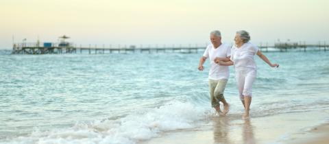 shutterstock_626076812