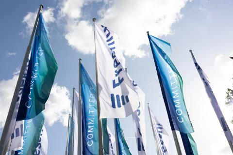 Fresenius flags
